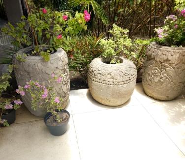 Hand Carved Stone Pots
